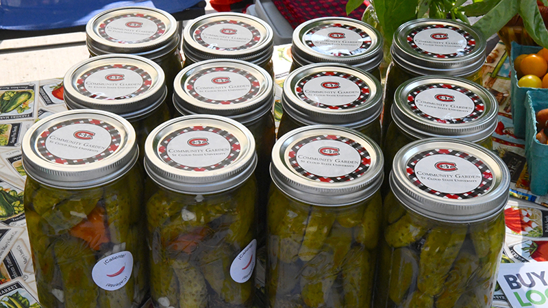 rows of canned pickles