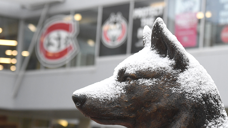 Light snow on bronze husky statue's head