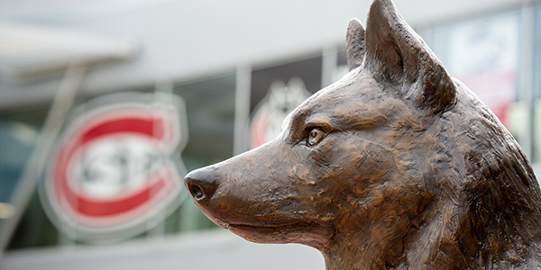 Bronze husky statue with St. C logo in background