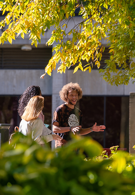 Three students walking and talking outside with yellow leaves on trees