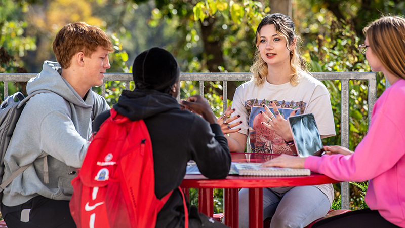 Group of diverse students seated at an outdoor picnic table talking