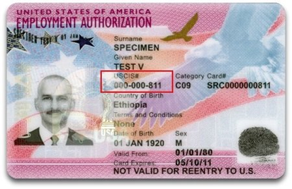 Example of the OPT EAD card
