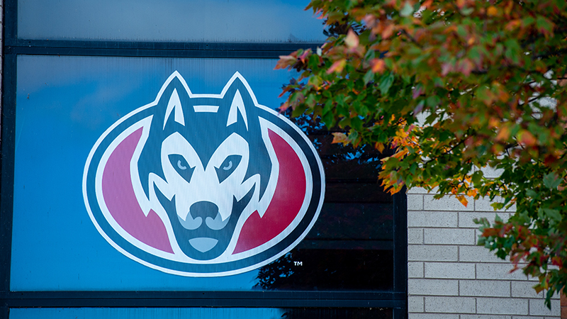 Blizzard mascot logo in window