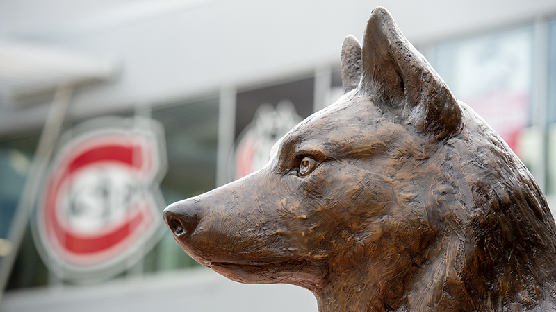 Bronze husky statue