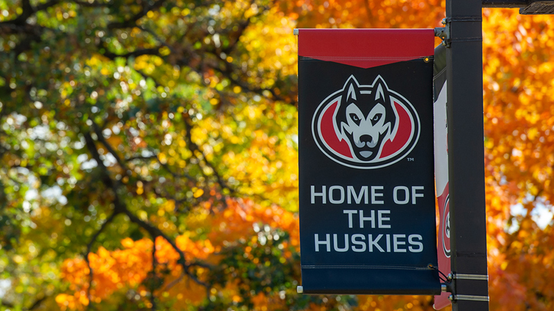 SCSU banner and fall foliage