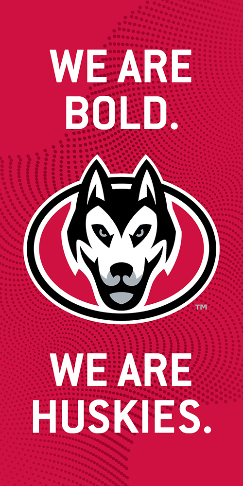 We Are Bold, We Are Huskies.